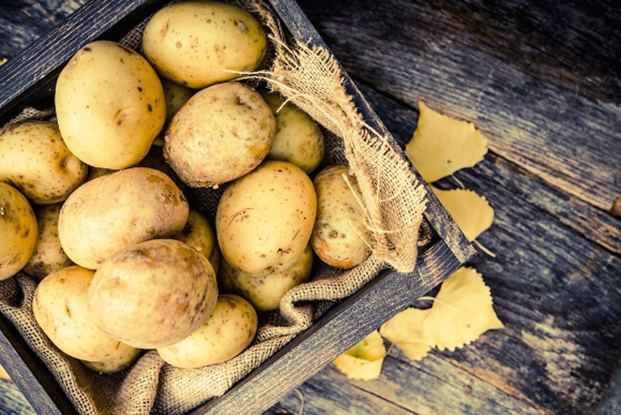 πατάτα που καίει λίπος μεταβολικό σύνδρομο πώς να χάσετε βάρος